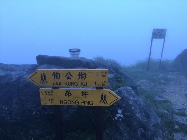 照顾可爱小公主