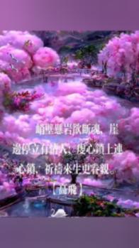 救援快乐的兔子